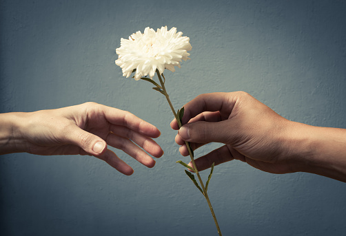 What can you do for Someone today?