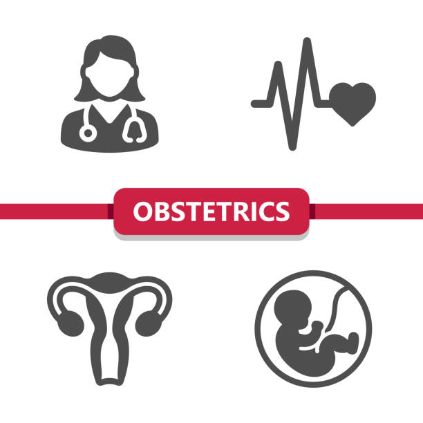 Obstetrics and Gynecology (O&G)