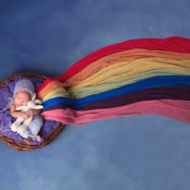 Ashley Low Photography (ALP)