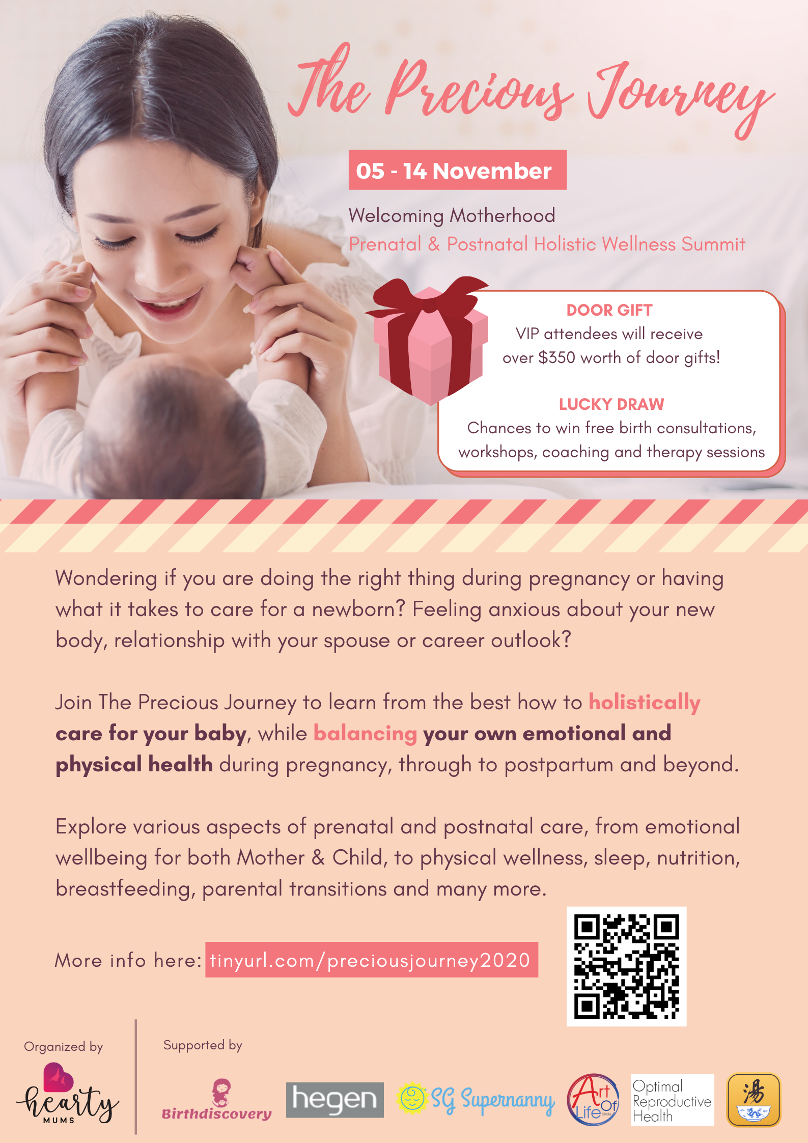 The Precious Journey Webinar (Online)